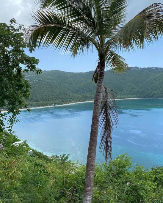 Mid-Century: Caribbean Style Appartement Contant  Buitenkant foto