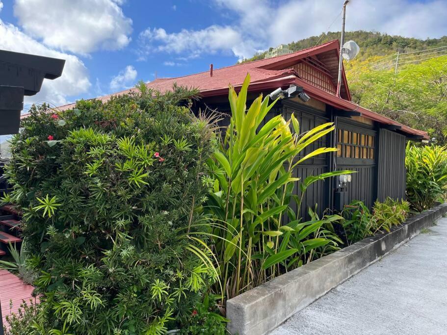 Mid-Century: Caribbean Style Appartement Contant  Buitenkant foto
